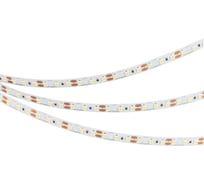 Светодиодная лента Arlight NT-A120-8mm 12V Cool 8K 5м 040576