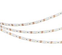 Светодиодная лента Arlight NT-A120-8mm 12V Day5000 5м 040575