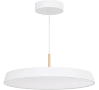 Светильник Arlight SP-ELEGANT-R500-37W Warm3000 1шт 033925
