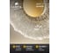 Настенный светильник ARTE LAMP cherish A2097AP-12GO 7