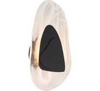 Настенный светильник ARTE LAMP libertas A2096AP-5BK