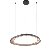 Подвесная люстра ARTE LAMP cinta A1847SP-46BK