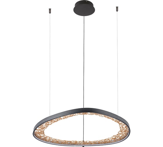 Подвесная люстра ARTE LAMP cinta A1847SP-46BK 1