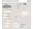 Люстра хрустальная Citilux Чезаре LED с пультом Хром CL338381 29