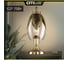 Настольная лампа Citilux Garuda Бронза CL420813 2