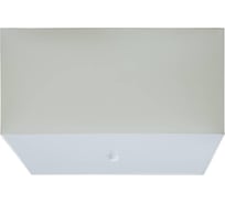 Потолочный светильник ТопДекор Lungo P1 01 04g