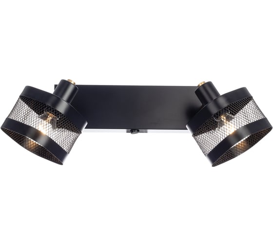Спот Citilux Хаген с выключателем Чёрный CL531525