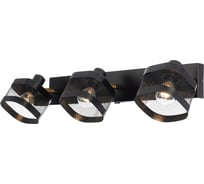 Спот Citilux Хаген с выключателем Чёрный CL531535