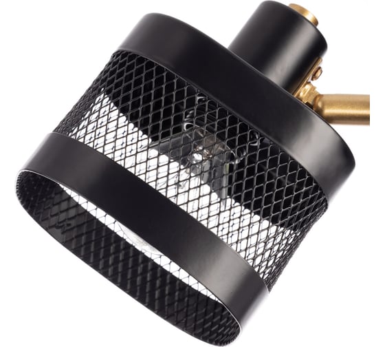 Спот Citilux Хаген с выключателем Чёрный CL531535
