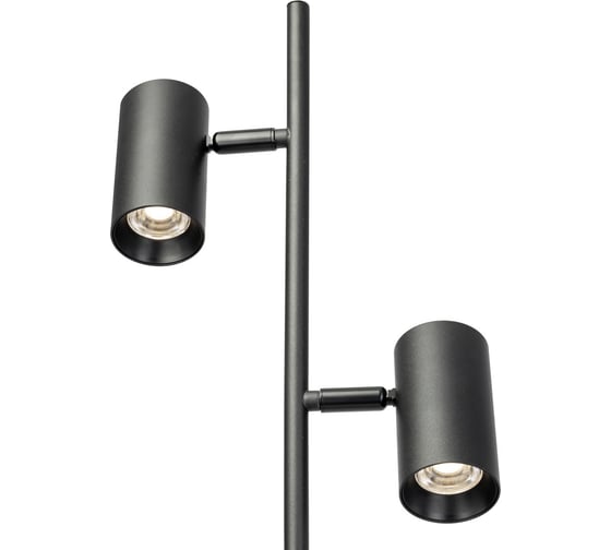Торшер светодиодный Citilux Twin Чёрный CL809011N