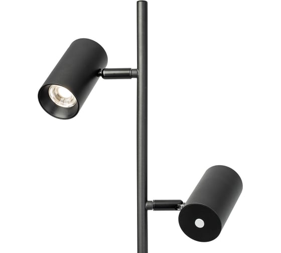 Торшер светодиодный Citilux Twin Чёрный CL809011N