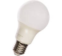 Светодиодная лампа THOMSON LED A60 9W 840Lm E27 4000K TH-B2004