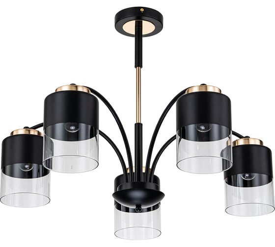 Светильник на штанге ESCADA E27*40W Black/Gold 2121/5P
