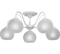 Люстра Vitaluce 5xE27, максимум 40Вт V3948-0/5PL