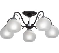 Люстра Vitaluce 5xE27, максимум 40Вт V3948-1/5PL