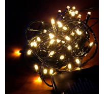 Уличная гирлянда SHLights нить, 80 LED, тепло-белый, 8 м LD080-GWW-BO