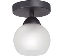Люстра Vitaluce, 1xE27 макс. 40Вт V3963-1/1PL