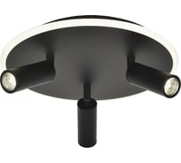 Потолочный светильник ESCADA 20046SMA/03 LED 37W 4000K черный 20046SMA/03LED BK