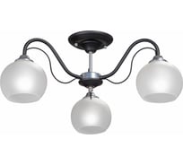 Люстра Vitaluce, 3xE27 макс. 40Вт V3948-1/3PL