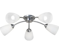 Люстра Vitaluce, 5xE14 макс. 40Вт V3944-9/5PL