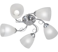 Люстра Vitaluce, 5xE14 макс. 40Вт, плафон ПП V3886-9/5PL