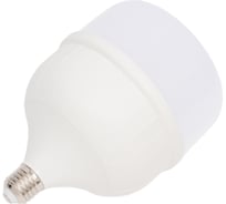 Светодиодная лампа Фарлайт Т135 60Вт 6500К Е27/E40 FAR000052