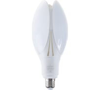 Светодиодная лампа Фарлайт 360 35Вт 6500К Е27 FAR000076