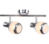 Поворотный спот ESCADA LARGO 2хЕ14x40W хром 1103/2A