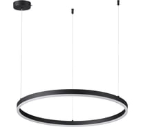 Светильник подвесной LUMION LED 50W ECHO 6530/50 6530/50L