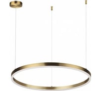 Светильник подвесной LUMION LED 50W ECHO 6531/50 6531/50L