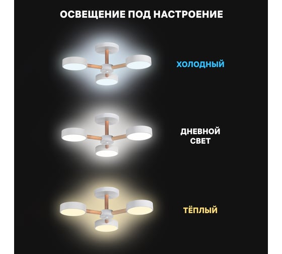 Люстра потолочная светодиодная диммируемая RITTER SCANDIA с ДУ 3 режима 520x170 45Вт 2700К/4200К/6400К 17м белый/дерево 51589 4