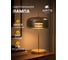 Декоративная настольная лампа ARTE LAMP padova A2404LT-1SM 6