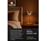Декоративная настольная лампа ARTE LAMP padova A2404LT-1SM 7