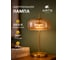 Декоративная настольная лампа ARTE LAMP padova A2404LT-1AM 7