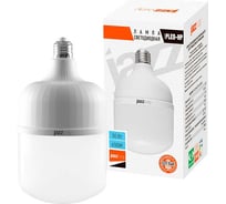 Светодиодная лампа Jazzway высокомощная PLED-HP-T120 50Вт 6500К холодный белый E27/E40 (переходник в комплекте) 4500лм 220В/50Гц 5018020A