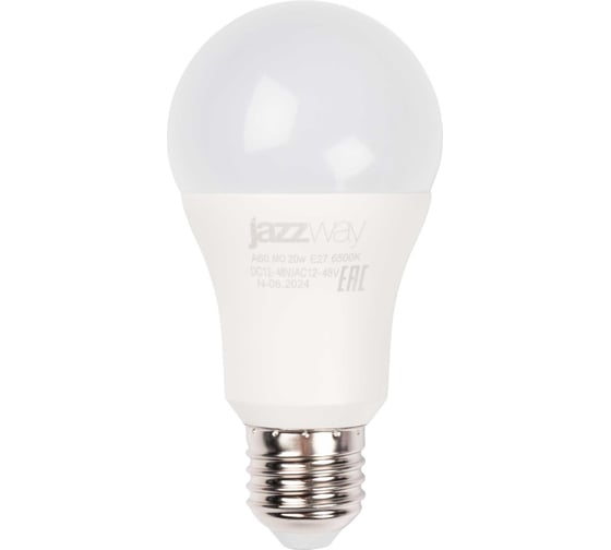 Светодиодная лампа Jazzway низковольтная PLED-A60 MO 20Вт 6500К холодный белый E27 12-48В AC/DC 5050655 1