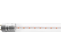 Светодиодная лампа Jazzway PLED T8-600 PPG Agro 8Вт T8 линейная G13 CL для растений красный/синий спектр 5025899
