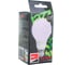 Светодиодная лампа Jazzway PPG A60 Agro 9Вт A60 грушевидная матовая E27 IP20 для растений красный/синий спектр frost 5002395 6