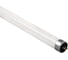 Светодиодная матовая лампа Jazzway PLED T5-600GL 8w FROST 4000K 230V/50Hz стекло 5016033 4