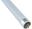 Светодиодная матовая лампа Jazzway PLED T5-600GL 8w FROST 4000K 230V/50Hz стекло 5016033 2
