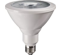 Светодиодная лампа Jazzway PPG PAR38 Agro 15Вт рефлектор прозрачная E27 185-265В IP54 для растений красный/синий спектр clear 5004702