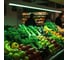 Светодиодная лампа Jazzway PLED T8-1200 Food Green 18Вт G13 230В/50Гц CL/PL для подсветки овощей/фруктов/зелени 5006546 3