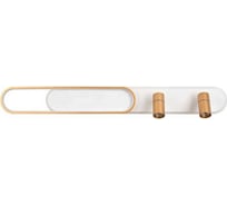 Настенно-потолочный светильник FAVOURITE planar 4075-2C