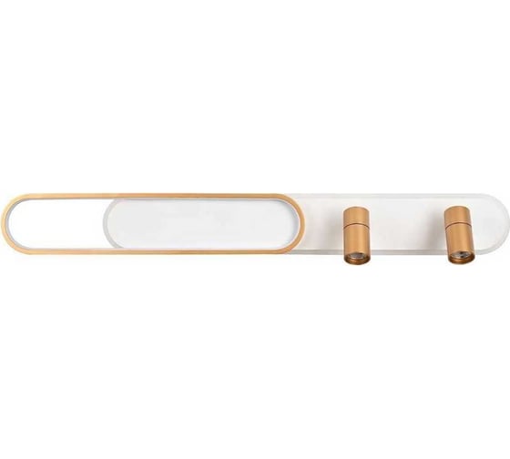 Настенно-потолочный светильник FAVOURITE planar 4075-2C 1