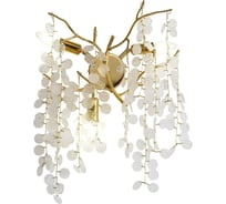 Настенный светильник FAVOURITE parra 4161-3W