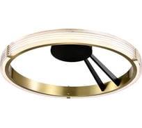 Потолочная люстра Lightstar rotonda 736041