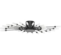 Потолочная люстра Lightstar ragno 732287