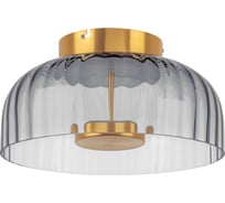 Потолочный светильник Lightstar celesta 809061
