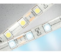 Светодиодная лента Ambrella light 5050 60Led /14.4W m/ 12V IP65 6500K 5m GS2103
