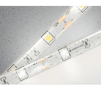 Светодиодная лента Ambrella light 5050 30Led /7.2W m/ 12V IP65 4500K 5m GS1902